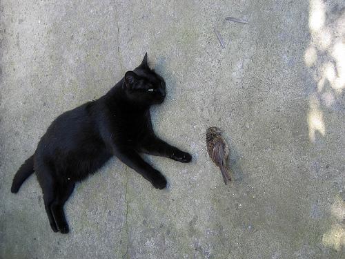[Uncaptioned image]