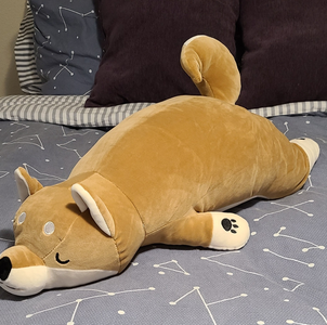 [Uncaptioned image]