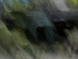 [Uncaptioned image]