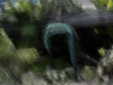 [Uncaptioned image]