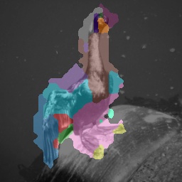 Refer to caption