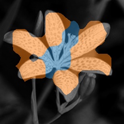 Refer to caption