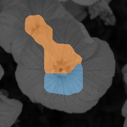 Refer to caption