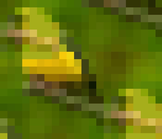 [Uncaptioned image]