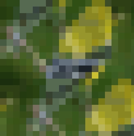 [Uncaptioned image]