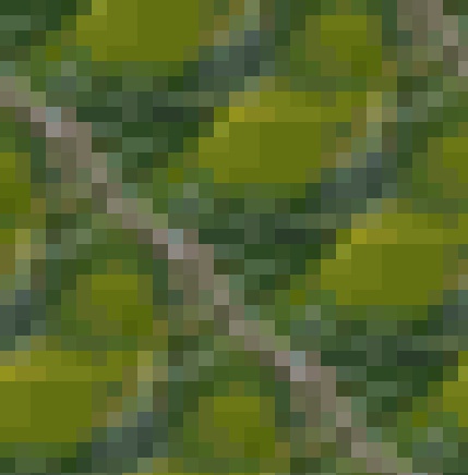 [Uncaptioned image]