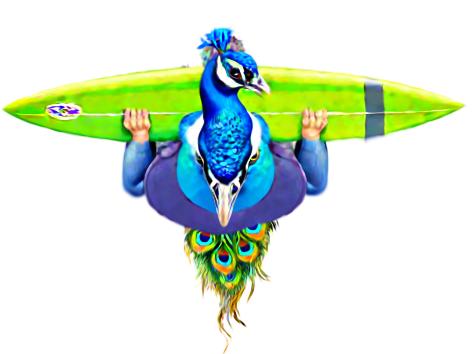 Refer to caption