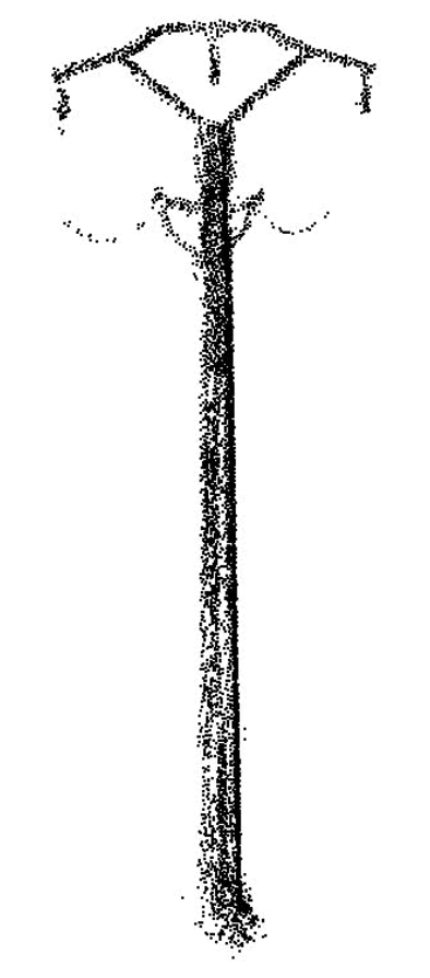 [Uncaptioned image]