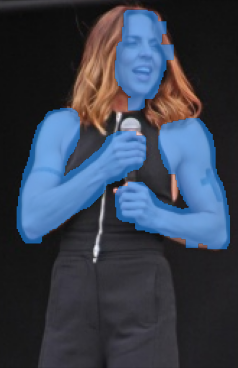 Refer to caption