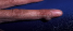 [Uncaptioned image]