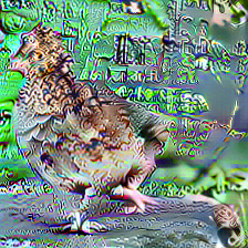 Refer to caption