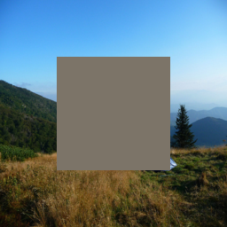 Refer to caption