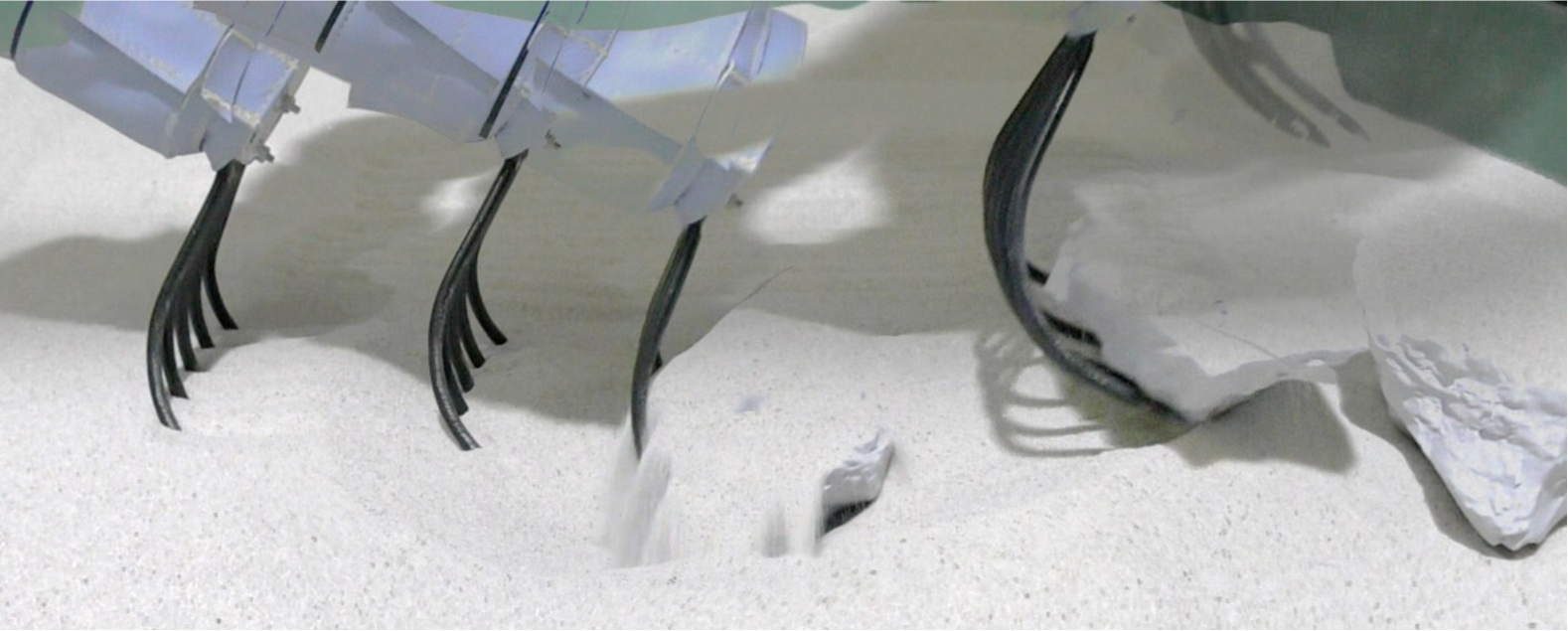 Refer to caption