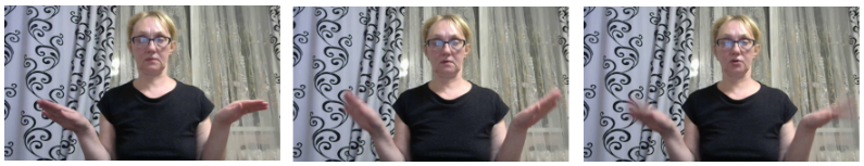 Refer to caption