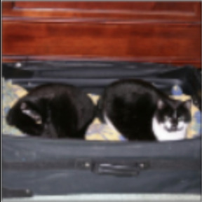 Refer to caption