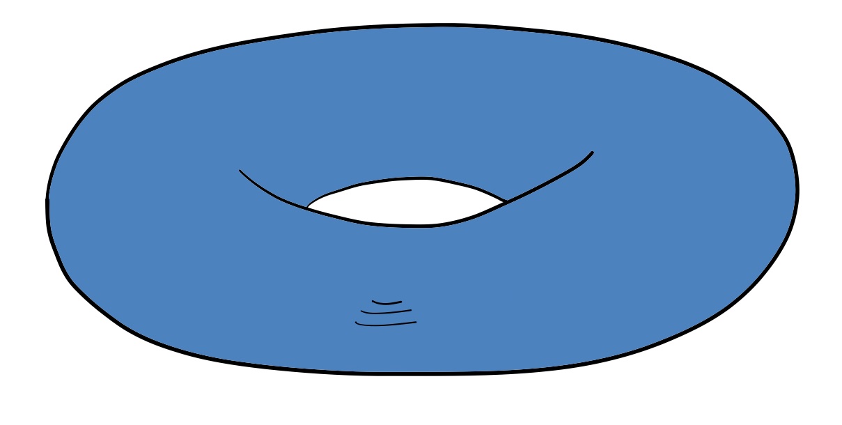 A torus in three dimensions as an example of an image that could have multiple alternative texts