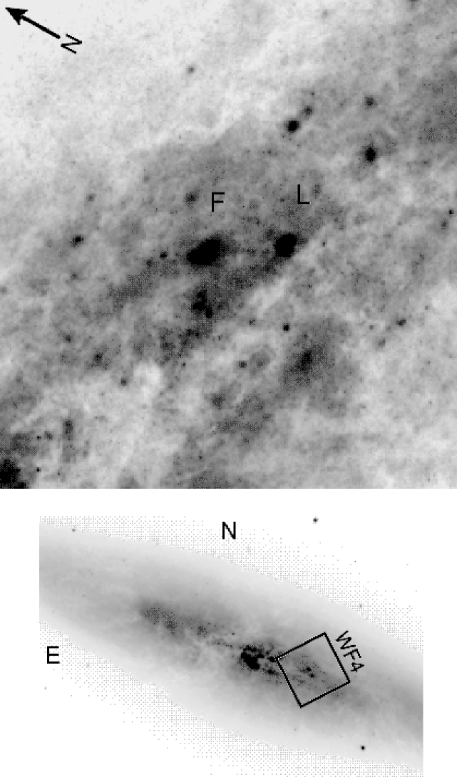 Refer to caption