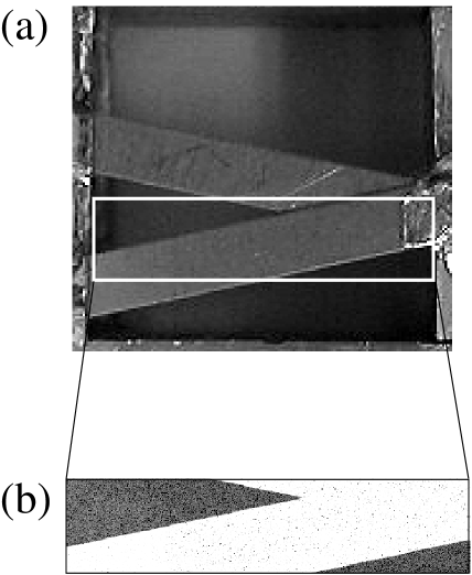 [Uncaptioned image]