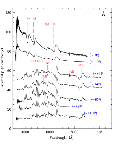 Refer to caption
