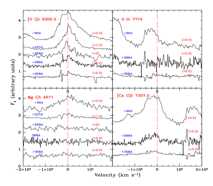 Refer to caption