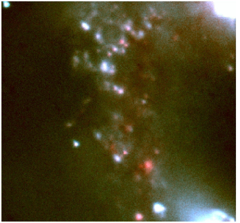 Refer to caption