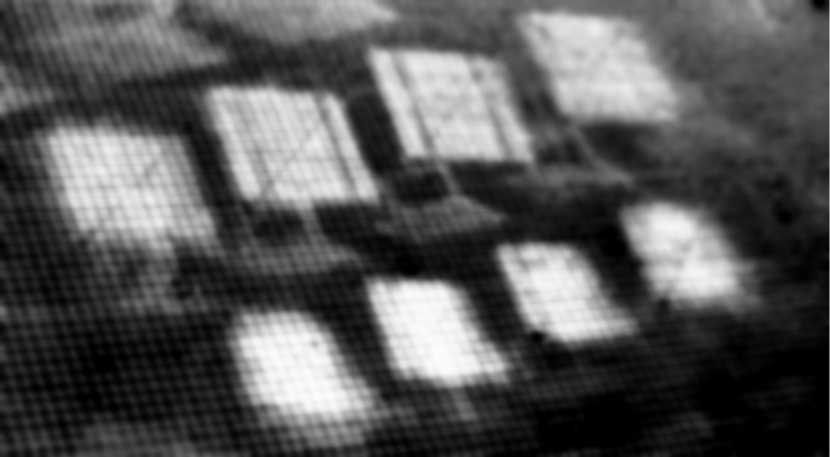 [Uncaptioned image]