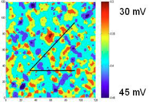 [cond-mat/0409204] Relating STM, ARPES, And Transport In The Cuprate ...