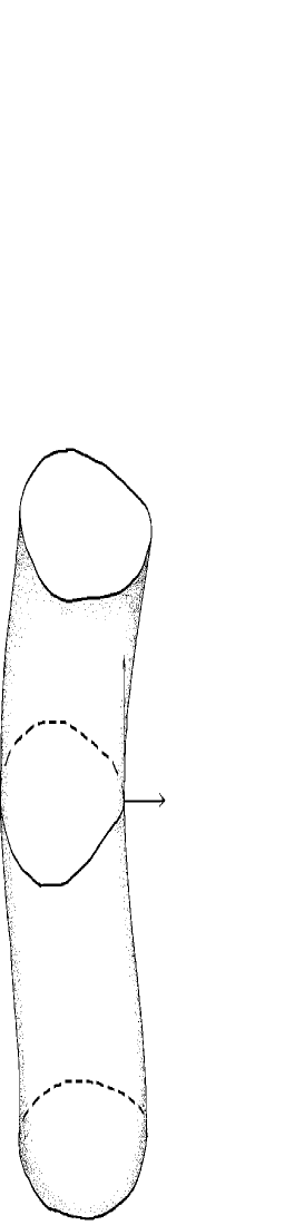 [Uncaptioned image]