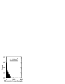 [Uncaptioned image]