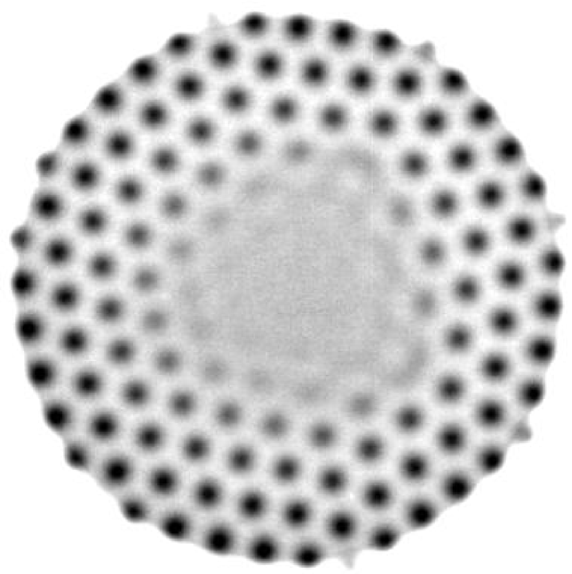 Refer to caption
