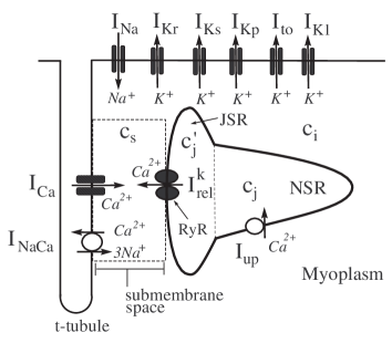 Refer to caption